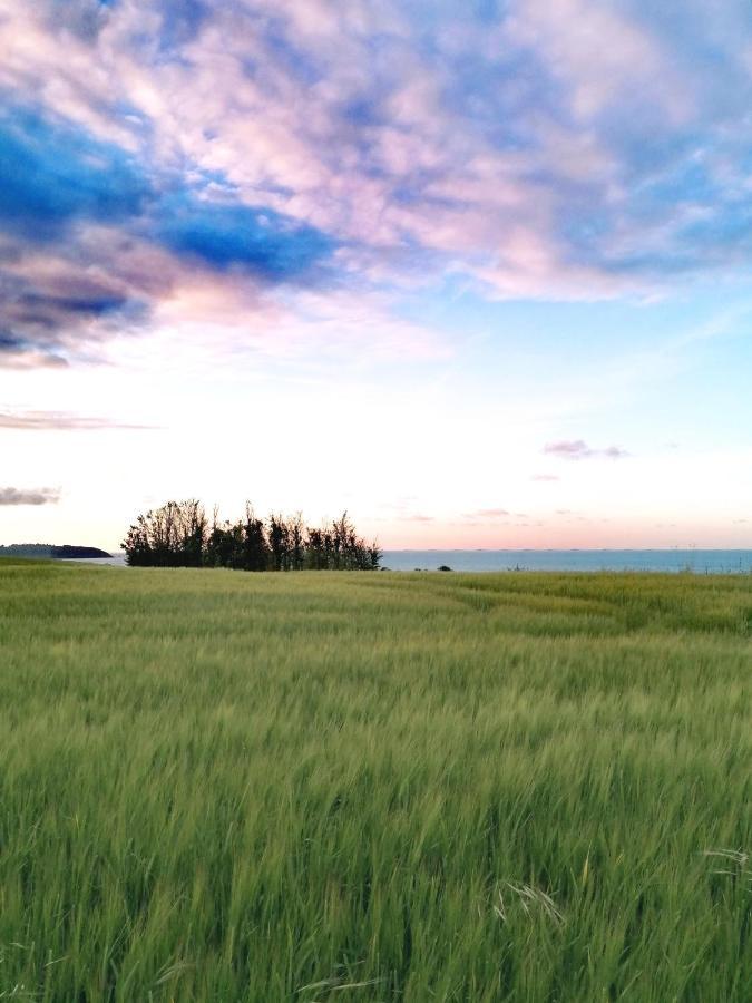 Le Ti'Nid - Gite De Charme - Vue Mer Langueux ภายนอก รูปภาพ